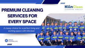 premium cleaning services