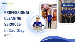 professional cleaning services