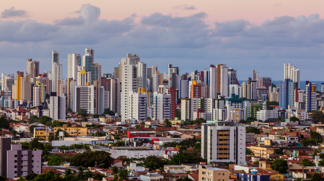 professional cleaning services