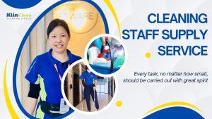 cleaning staff